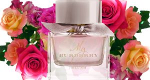 Burberry My Burberry Blush new perfume