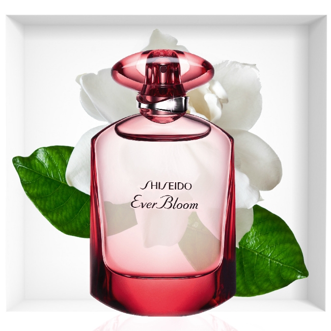 shiseido ever bloom ginza