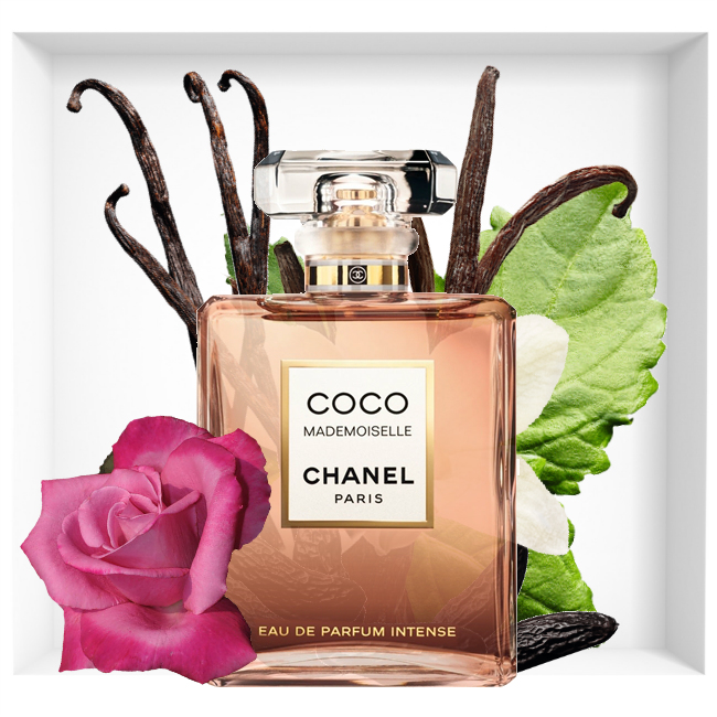 Chanel Coco Mademoiselle Intense | Reastars Perfume and Beauty magazine