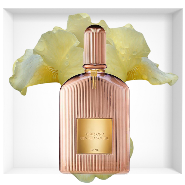 Tom ford orchid. Tom Ford Orchid Soleil 100 ml. Tom Ford Orchid Soleil (50ml). Tom Ford Orchid Soleil EDP 100ml Tester. Том Форд духи Orchid Soleil