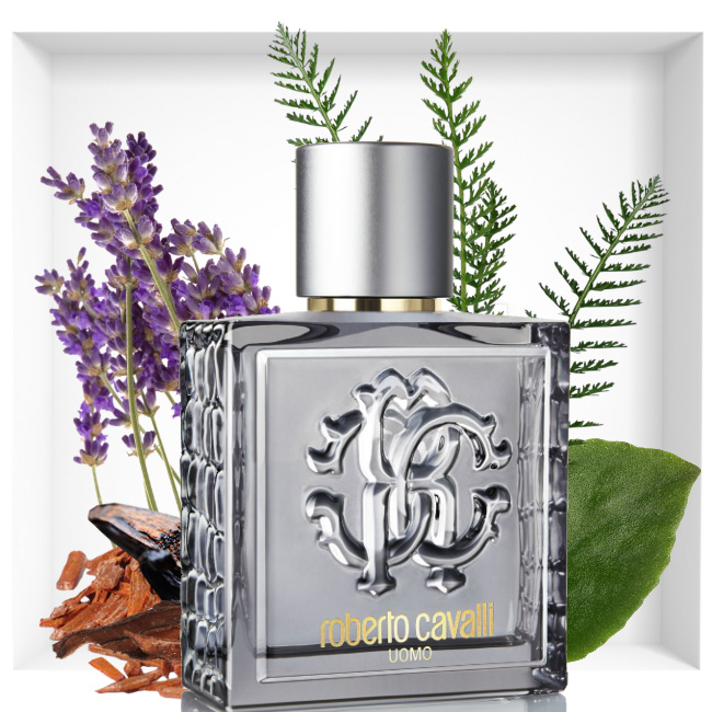 Roberto Cavalli Uomo Silver Essence fragrance