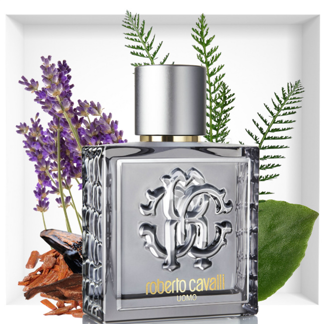 Roberto Cavalli Uomo Silver Essence fragrance Perfume and Beauty