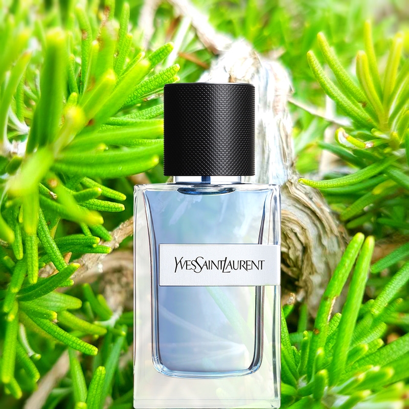 Y, the new masculine fragrance by Yves Saint Laurent
