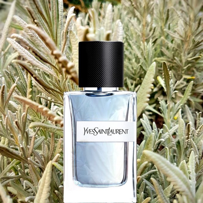 YSL Y Eau de Toilette for Men 3 Perfume and Beauty Magazine