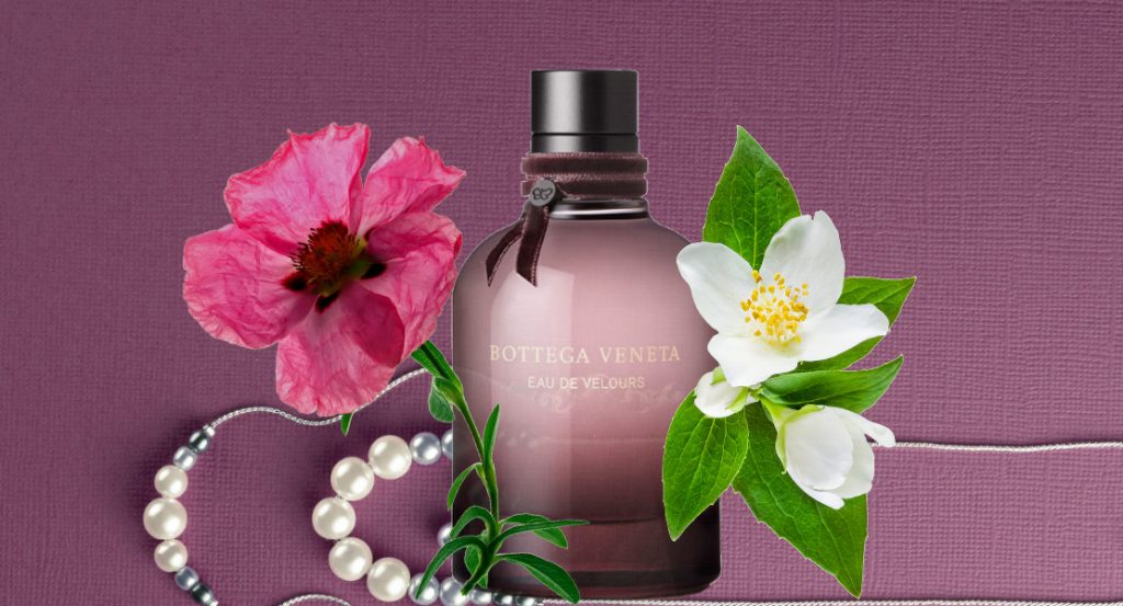 Eau de Velours: New Perfume for Women by Bottega Veneta
