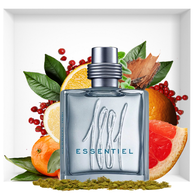 Cerruti 1881 Essentiel is a spicy fragrance in the image of a day in Tuscany.