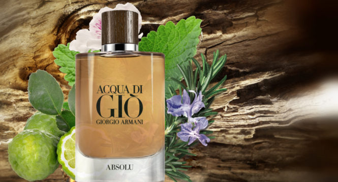 Get Back To Yourself with Giorgio Armani Acqua di Gio Absolu new perfume