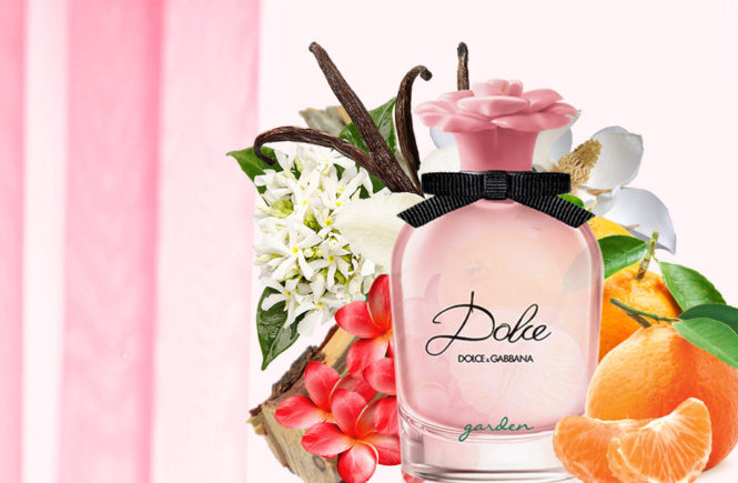 Dolce Garden by Dolce & Gabbana fragrance