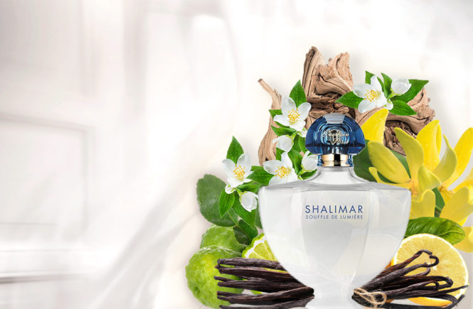 New fragrance Guerlain Shalimar Souffle de Lumière perfume 2018 at reastars.com