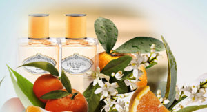 Prada Les Infusions de Mandarine