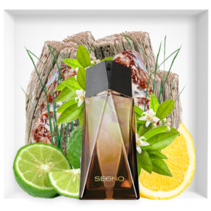 Avon Segno new fragrance for men 2018