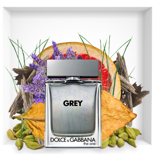 dolce and gabbana gray perfume