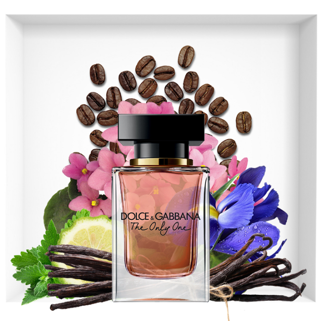 dolce gabbana new perfume 2018