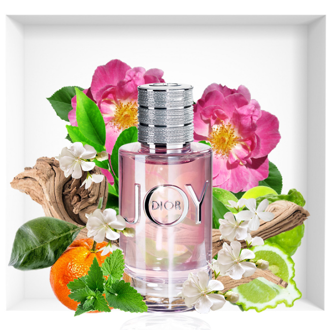 joy dior composition