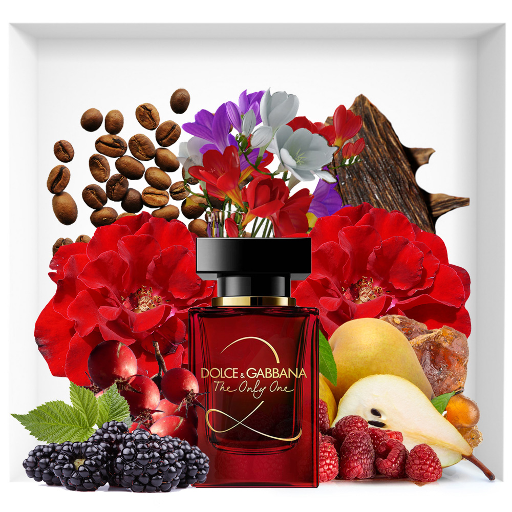 dolce gabbana the only one red