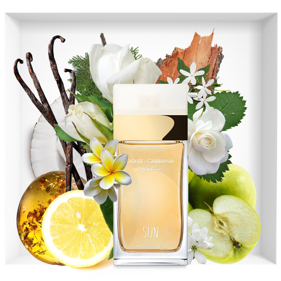Dolce gabbana light blue sun 50ml on sale